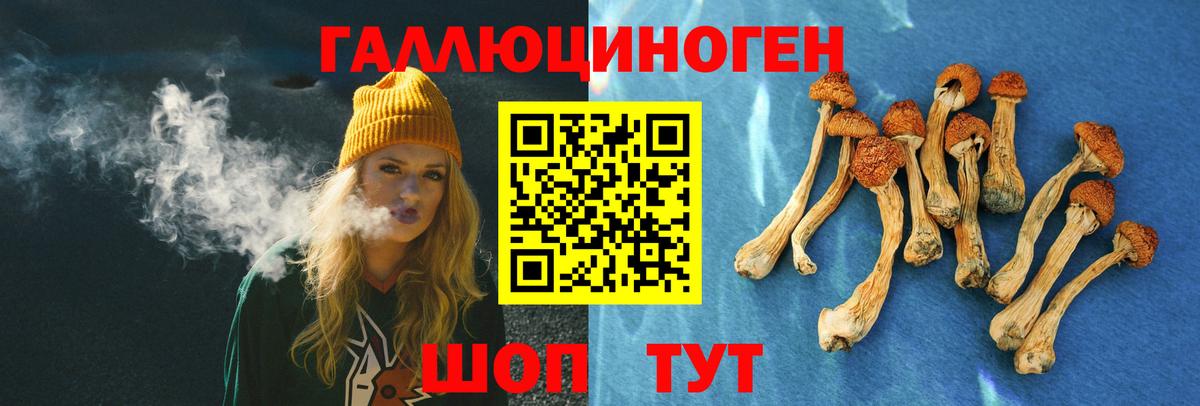 Псилоцибиновые грибы Psilocybe  Галлюциногенные грибы прущие грибы  Вход с VPN  Костомукша 
